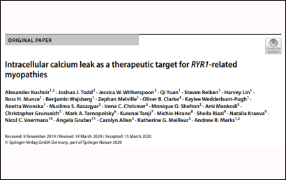 Medical Journal: Intracellular calcium leak as a therapeutic target for RYR1‑related myopathies