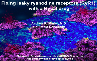 Lecture: Introduction to Rycals & the Ryanodine Receptor – Dr. Andrew Marks