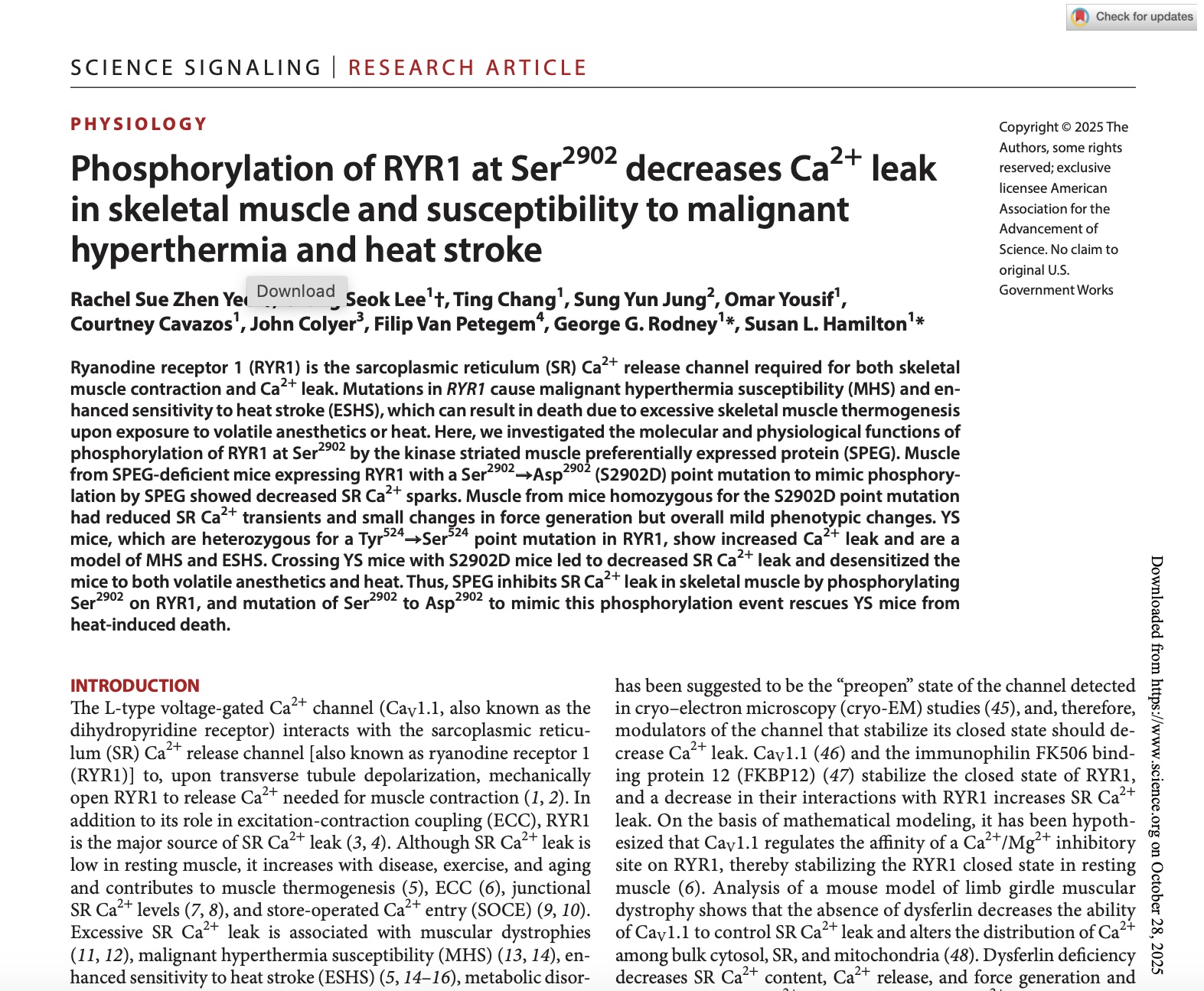 Phosphorylation of RYR1 at Ser2902 decreases Ca2+ leak in skeletal muscle and susceptibility to malignant hyperthermia and heat stroke