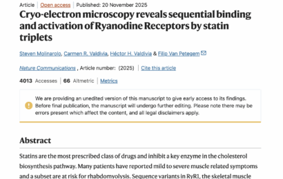 Cryo-electron microscopy reveals sequential binding and activation of Ryanodine Receptors by statin triplets