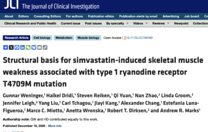 Structural basis for simvastatin-induced skeletal muscle weakness associated with type 1 ryanodine receptor T4709M mutation